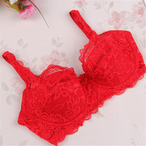 V-neck Solid Color Chest Pad Lace Sling Nylon Breathable Elasticity Comfortable sexy Women Bras