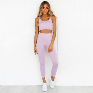 2 Piece Set Workout Clothes for Women Sports Bra and Leggings Set  Yoga Set