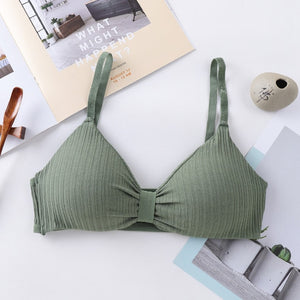 Sexy Bra, Push Up Bras ,Sexy Lingerie ,Soft Cotton Bra , Brassiere Underwear