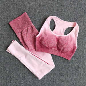 Ombre Yoga Set, Sports Bra and Leggings Gym  Sportswear