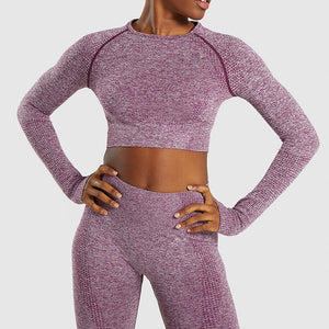 Yoga Set Gym Clothing, Fitness Sport Suit,Tracksuit